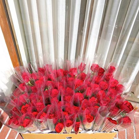 [성년의 날🌹] 뷰티! 찬란히 빛날 20대를 응원해!